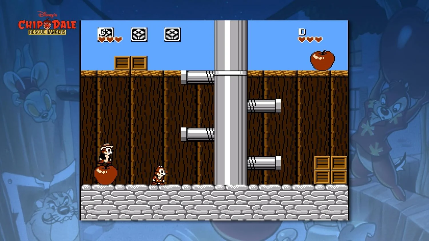 Thumbnail 5
